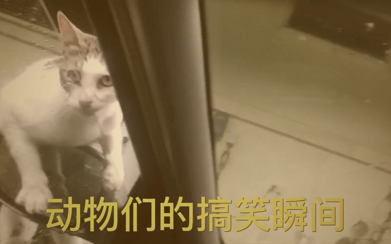 香蕉漫画合集视觉概念图：书本中涌现出穿越隧道、爱心与能量光芒，象征三大元素的融合
