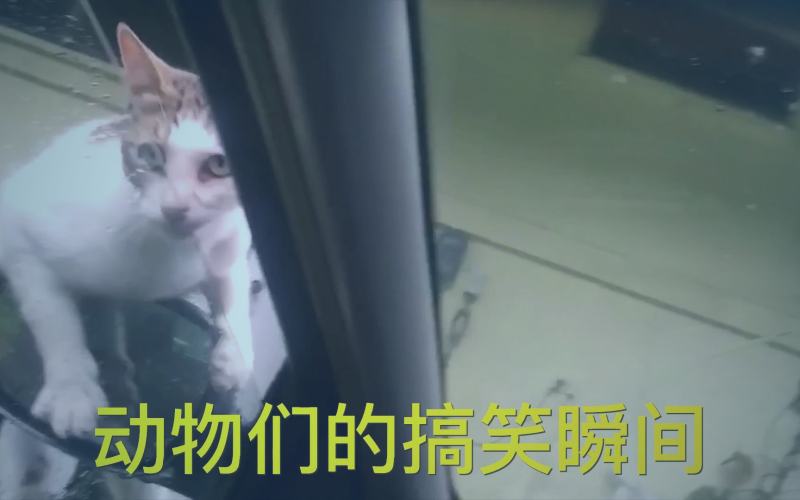 一群幸存者在昏暗灯光下研究一张复杂的手绘地图，表情凝重