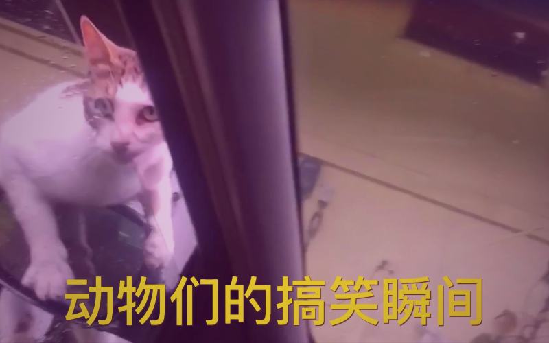 香蕉漫画平台玄幻剑修逆袭连载推荐封面图
